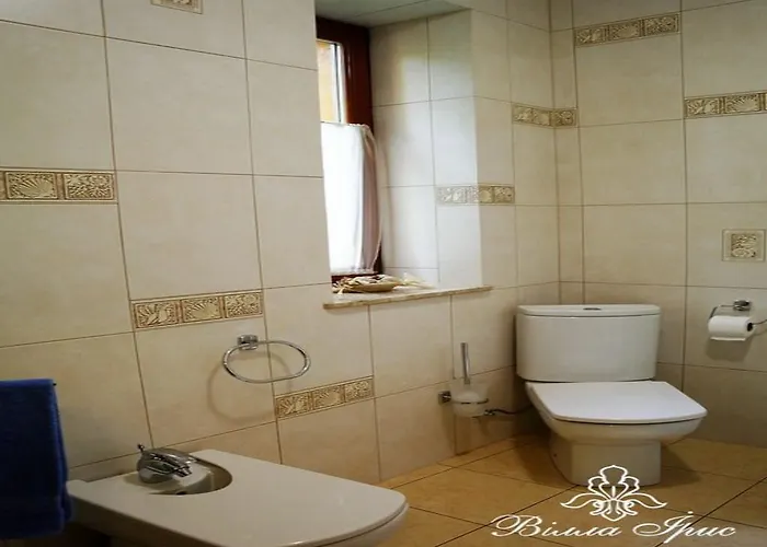 Iris Otel Yaremche
