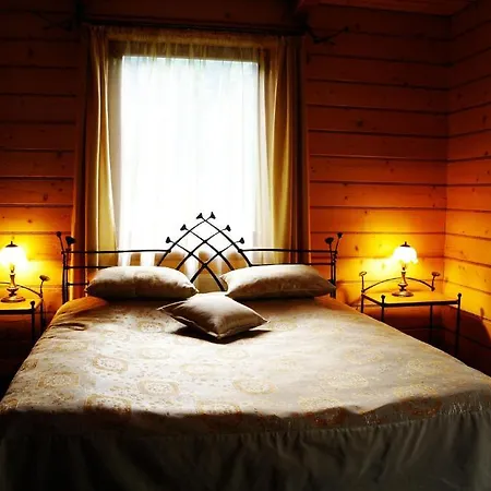 ирис 4* Яремча