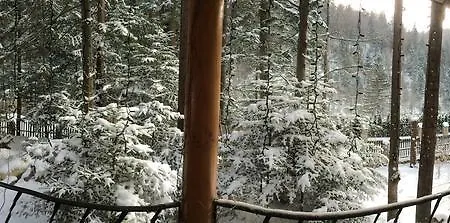 Отель ирис 4*