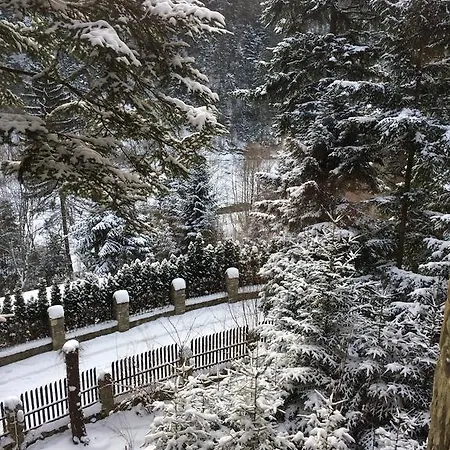 ирис 4* Яремча